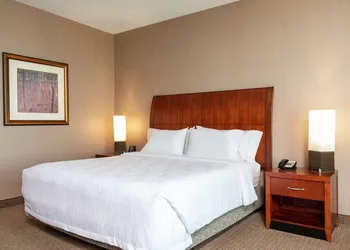 Hilton Garden Inn Columbus/Edinburgh hotel thumbnail 5