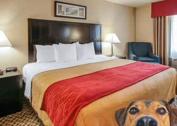 Comfort Inn Troutdale - Portland East hotel thumbnail 2