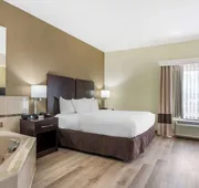 Comfort Inn & Suites Lake Norman hotel detail image 4