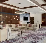 Hilton University of Houston hotel detail image 3