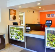 Motel 6 – Santa Nella, on I-5 hotel detail image 4