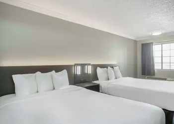 Motel 6 San Antonio, TX – I-35 North Corridor hotel thumbnail 6
