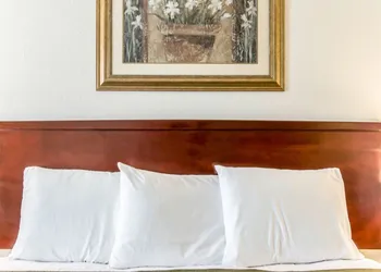 Econo Lodge Monticello hotel thumbnail 5
