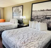 Baymont by Wyndham New Braunfels TX hotel detail image 5