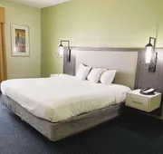 Park Inn by Radisson Albany, GA hotel detail image 7