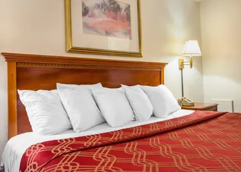 Econo Lodge Somers Point hotel thumbnail 7