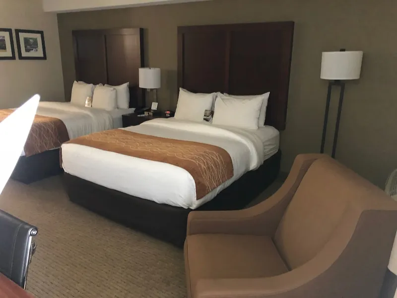 Comfort Inn & Suites near Danville Mall hotel detail image 6