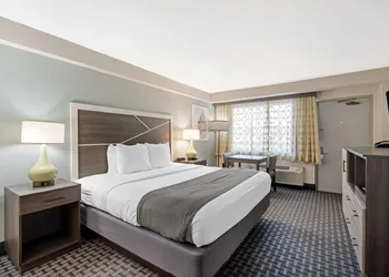 Best Western Plus Daytona Inn Seabreeze Oceanfront hotel thumbnail 5