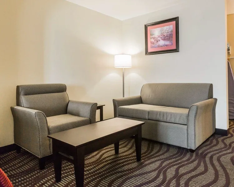 Quality Inn & Suites North Montgomery hotel detail image 6