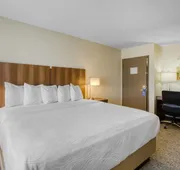 Best Western North Phoenix Hotel hotel detail image 5