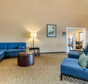 Comfort Suites Batesville hotel detail image 3