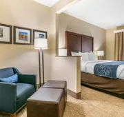 Comfort Suites Batesville hotel detail image 4