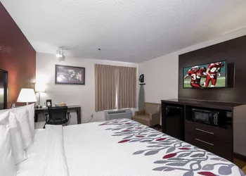 Red Roof Inn & Suites Dover Downtown hotel thumbnail 8