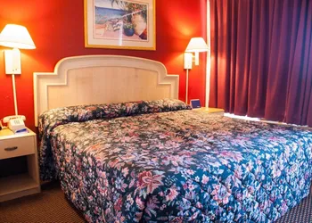 Scottish Inn Jacksonville Downtown hotel thumbnail 7