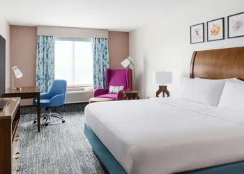 Hilton Garden Inn Orlando at SeaWorld hotel thumbnail 6