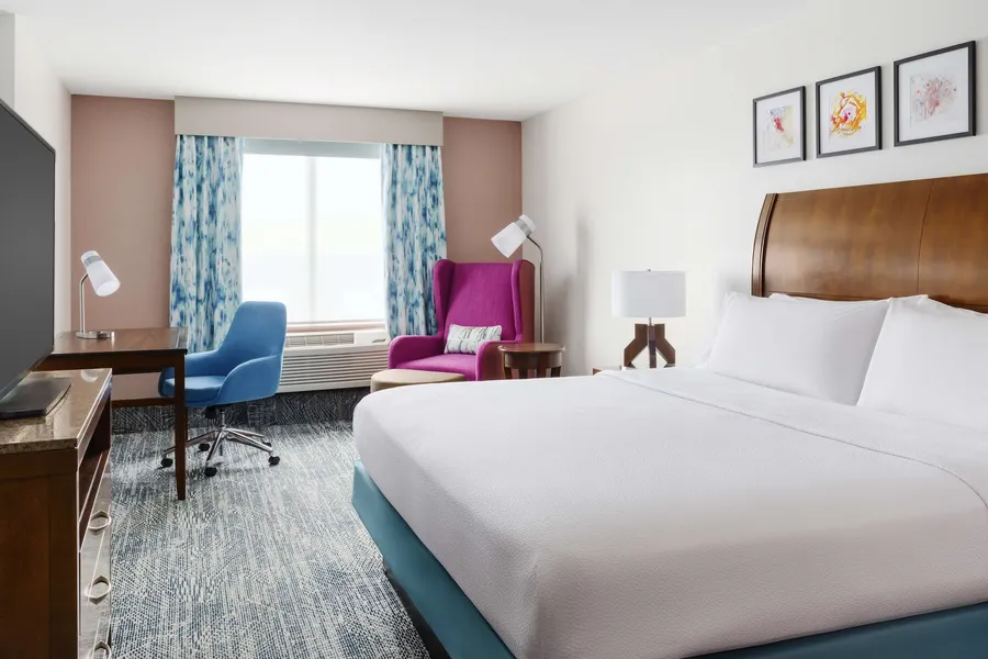Hilton Garden Inn Orlando at SeaWorld hotel detail image 6