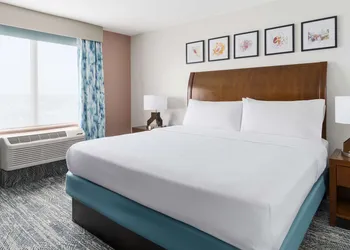 Hilton Garden Inn Orlando at SeaWorld hotel thumbnail 8