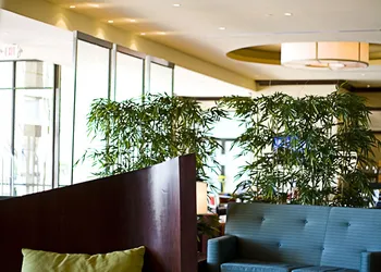 DoubleTree by Hilton Atlanta - Northlake hotel thumbnail 4