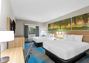 Days Inn & Suites by Wyndham Union City hotel thumbnail 6