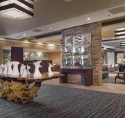 DoubleTree by Hilton Collinsville - St. Louis hotel detail image 3