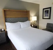 Holiday Inn Chicago O'Hare Area by IHG hotel detail image 5