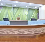 Springhill Suites by Marriott Chicago Elmhurst/Oakbrook Area hotel detail image 3