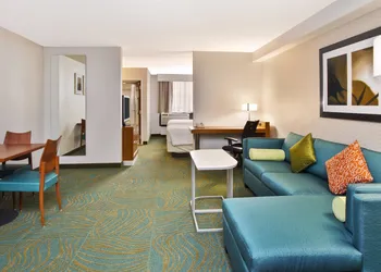 Springhill Suites by Marriott Chicago Elmhurst/Oakbrook Area hotel thumbnail 6