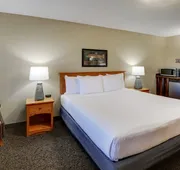 Stoney Creek Hotel Quad Cities - Moline hotel detail image 3
