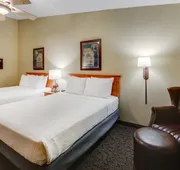 Stoney Creek Hotel Quad Cities - Moline hotel detail image 7