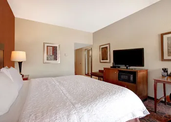 Hampton Inn Ft. Wayne-Southwest hotel thumbnail 8