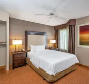 Homewood Suites by Hilton Lafayette Rossville Exit hotel detail image 4