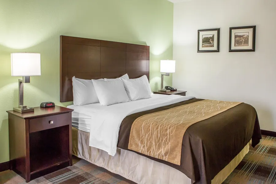 Comfort Inn Lexington South hotel detail image 6