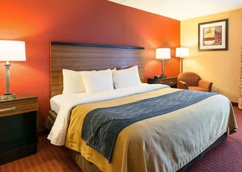Comfort Inn Oxon Hill - National Harbor hotel thumbnail 8