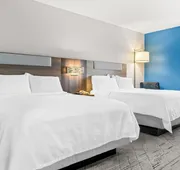 Holiday Inn Express Hotel & Suites Detroit-Novi by IHG hotel detail image 4