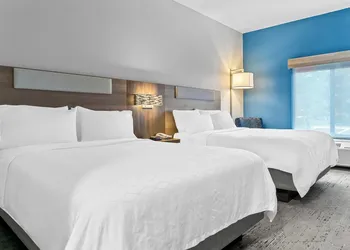 Holiday Inn Express Hotel & Suites Detroit-Novi by IHG hotel thumbnail 6