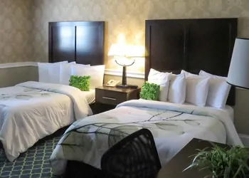 Rodeway Inn Logan International Airport hotel thumbnail 6