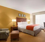 Country Inn & Suites by Radisson, Holland, MI hotel detail image 5