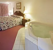 Americas Best Value Inn Lansing hotel detail image 3