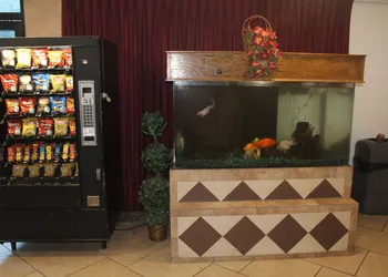 Shalimar Hotel of Las Vegas hotel thumbnail 6
