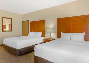 Comfort Inn & Suites Socorro hotel thumbnail 5