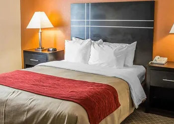 Howard Johnson by Wyndham Columbus State Fairgrounds I-71 hotel thumbnail 6