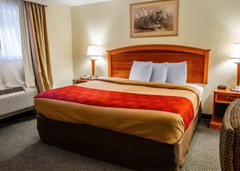 Econo Lodge Jefferson Hills Hwy 51 hotel thumbnail 6
