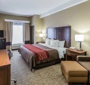 Comfort Inn Kingsport Southeast hotel detail image 4