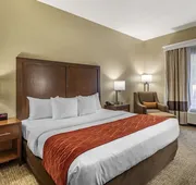 Comfort Inn Kingsport Southeast hotel detail image 5