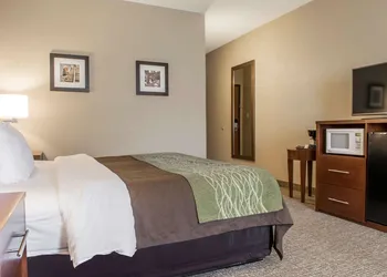 Comfort Inn Edinburg South hotel thumbnail 6