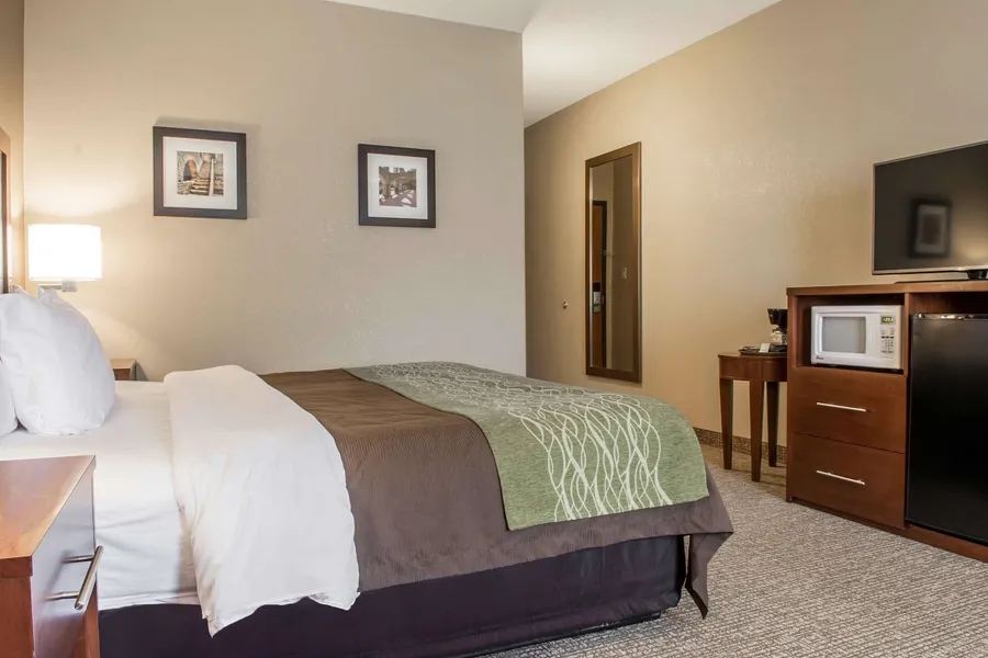 Comfort Inn Edinburg South hotel detail image 6