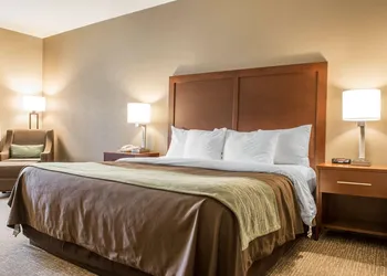 Comfort Inn Edinburg South hotel thumbnail 8