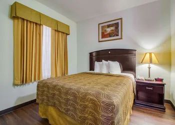 MainStay Suites Texas Medical Center/Reliant Park hotel thumbnail 7