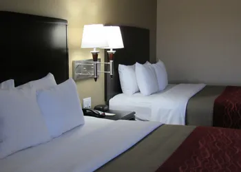 Quality Inn & Suites Lubbock South hotel thumbnail 6