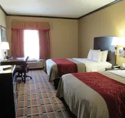 Quality Inn & Suites Lubbock South hotel detail image 7